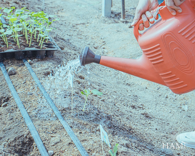 hami-highlight-event-cherys-wcwl-02