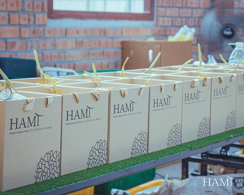 hami-highlight-event-cherys-wcwl-03