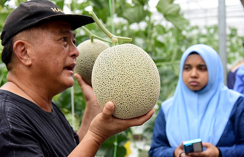 hami-highlight-event-fama-mardi-visit-02