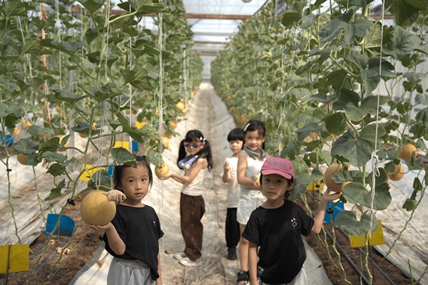 hami-highlight-event-hami-farm-visit-02