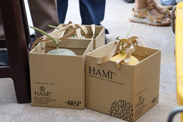 hami-highlight-event-hami-farm-visit-26