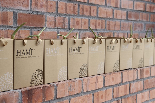 hami-highlight-event-hami-farm-visit-28