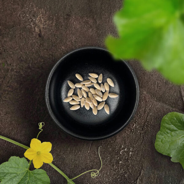 Seeds